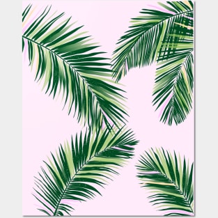 Palm Fronds on Pink Posters and Art
